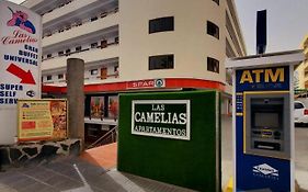 Vivienda Vacacional - Las Camelias #150710